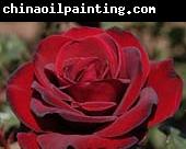 unknow artist Realistic Red Rose