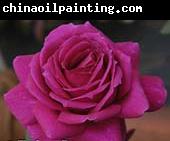 unknow artist Realistic Purple Rose