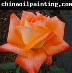 unknow artist Realistic Orange Rose