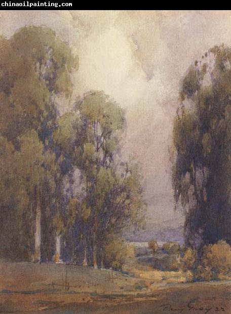 unknow artist Eucalyptus Landscape