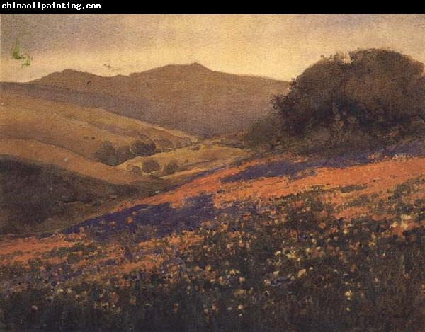 unknow artist California landscape