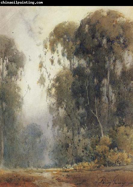 unknow artist Eucalyptus Trees