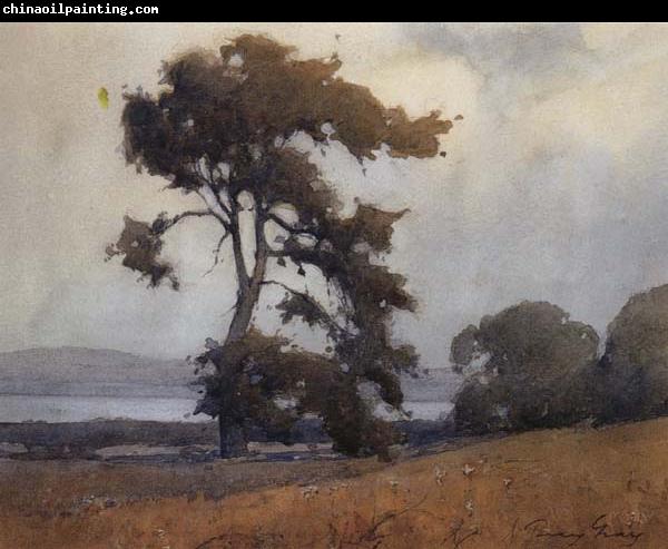 unknow artist California landscape