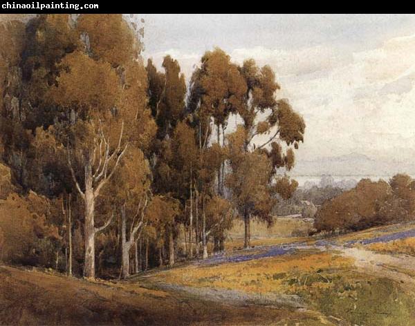 unknow artist A Grove of Eucalyptus in Spring