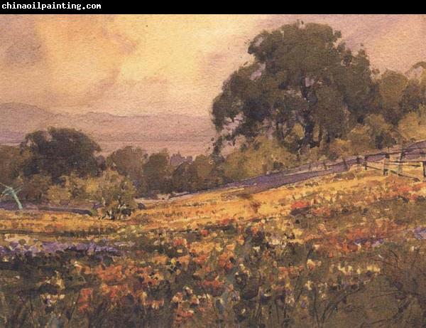 unknow artist California landscape