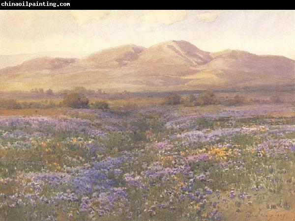 unknow artist Lupine in Kern County