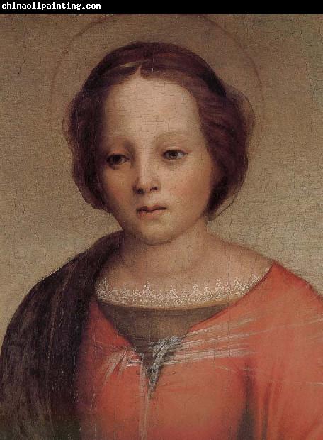 Andrea del Sarto Maria