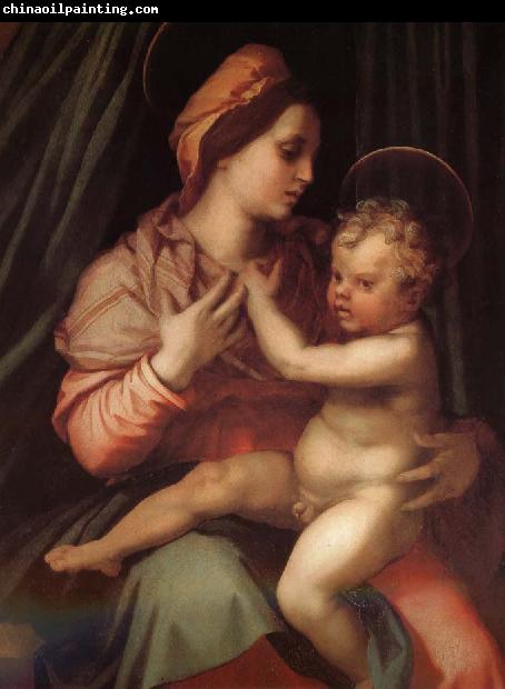 Andrea del Sarto The Virgin and Child