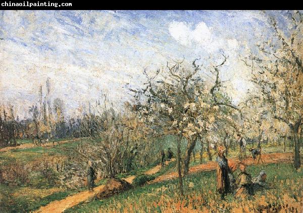 Camille Pissarro Pang map of apple Schwarz