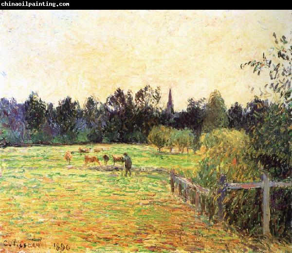 Camille Pissarro Cattle