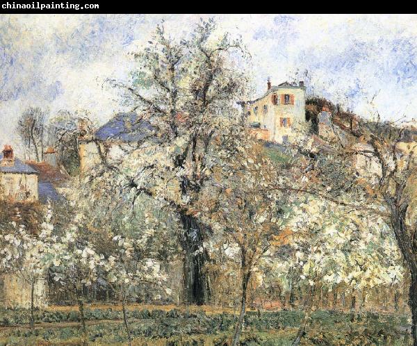 Camille Pissarro Pang plans spring Schwarz