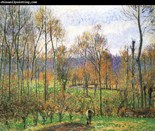 Camille Pissarro Cloudy Poplar