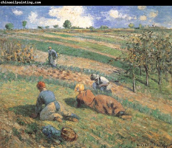 Camille Pissarro Field work