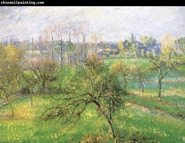 Camille Pissarro Apple