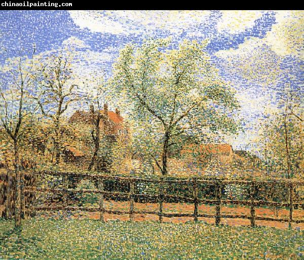 Camille Pissarro Pear trees bloom in the morning