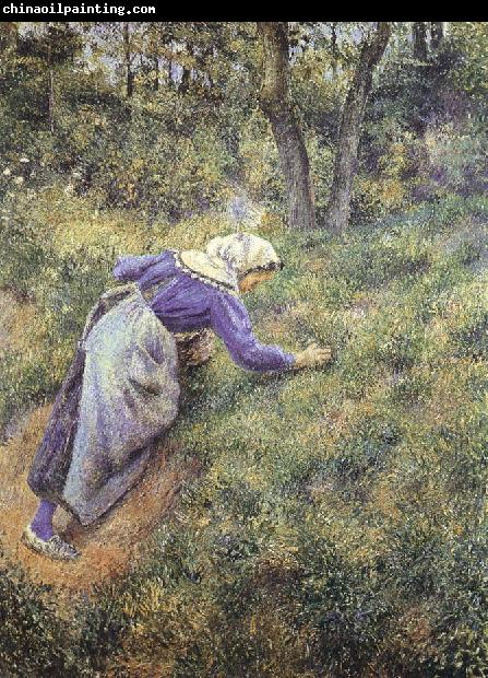 Camille Pissarro Collect grass