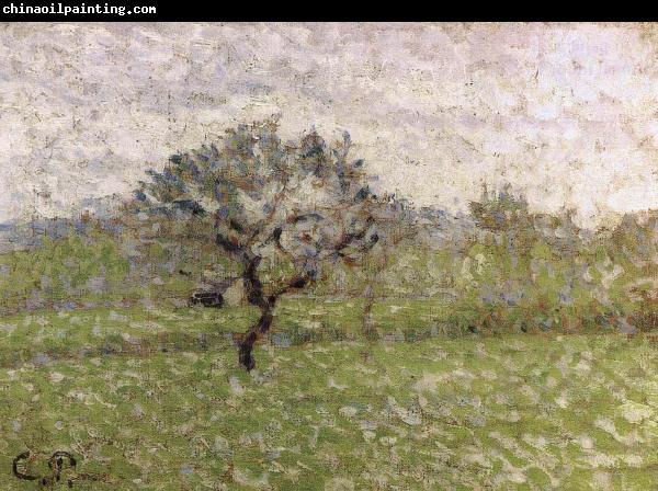 Camille Pissarro Apple