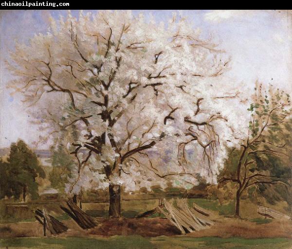 Carl Fredrik Hill apple tree in blossom