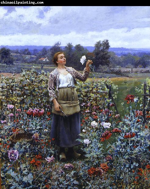 Daniel Ridgeway Knight Picking Poppies