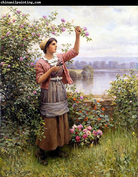 Daniel Ridgeway Knight Gathering Roses