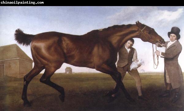 George Stubbs hambletonian,rubbing down