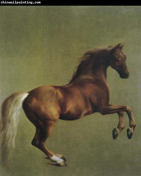 George Stubbs whistlejacket