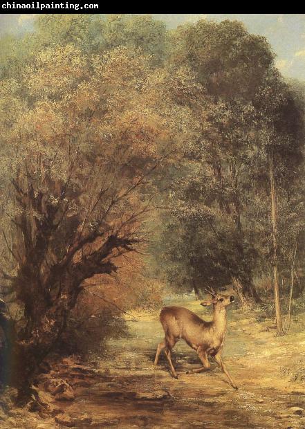 Gustave Courbet Deer