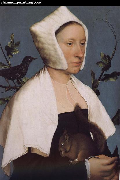 Hans Holbein With squirrels and birds swept Europe and the portrait of woman