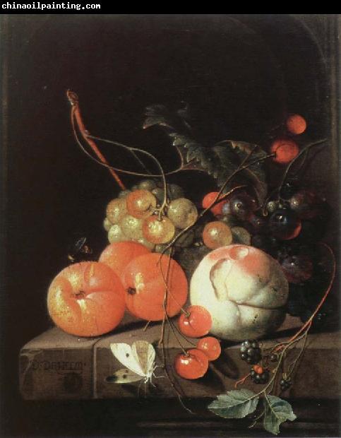 Jan Davidz de Heem still life of fruit