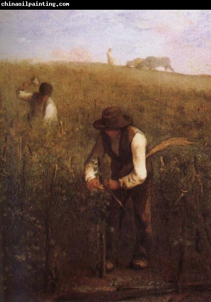 Jean Francois Millet Grape garden