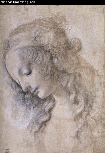 LEONARDO da Vinci Woman portrait