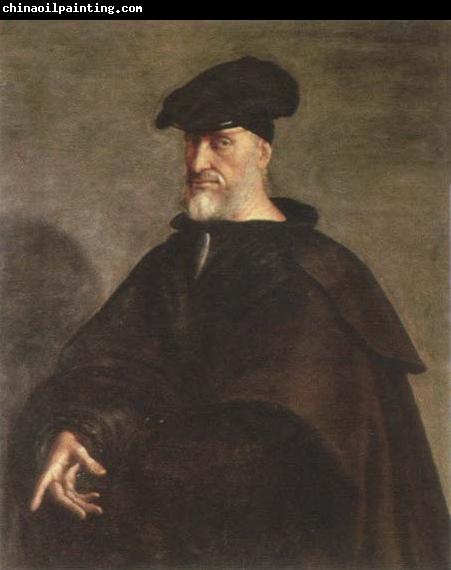 Sebastiano del Piombo portrait of andrea doria