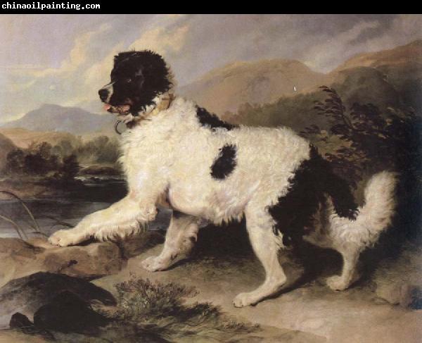 Sir Edwin Landseer lion a newfoundland dog