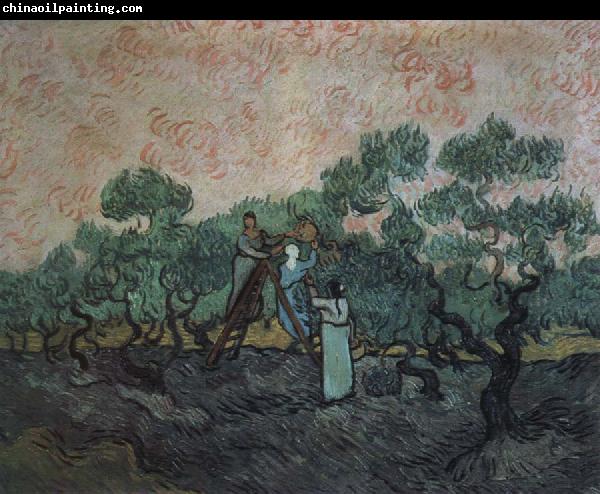 Vincent Van Gogh the olive pickers,saint remy,1889