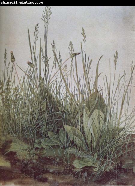 unknow artist A large grass