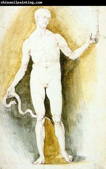 Albrecht Durer Male Nude with a Glass and Snake