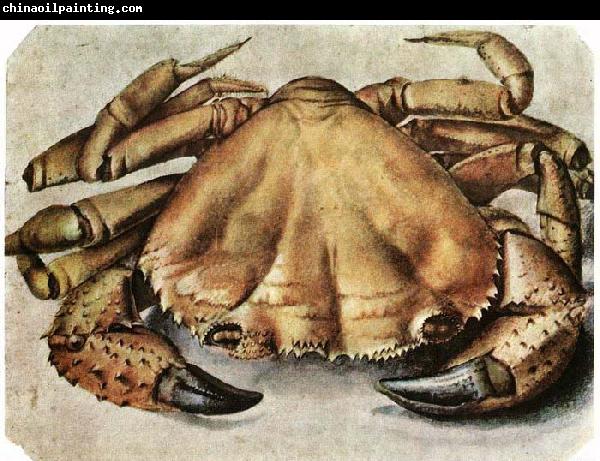 Albrecht Durer Lobster 1495 Watercolour and gouache