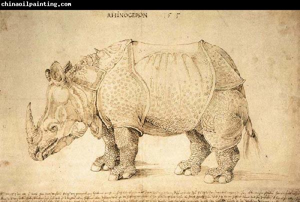 Albrecht Durer Rhinoceros