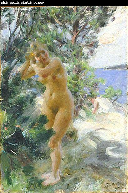 Anders Zorn After the Bath,