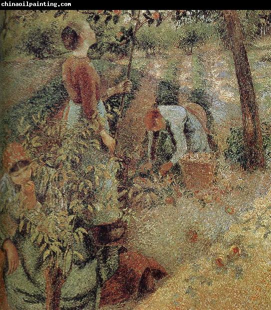 Camille Pissarro woman picking apples