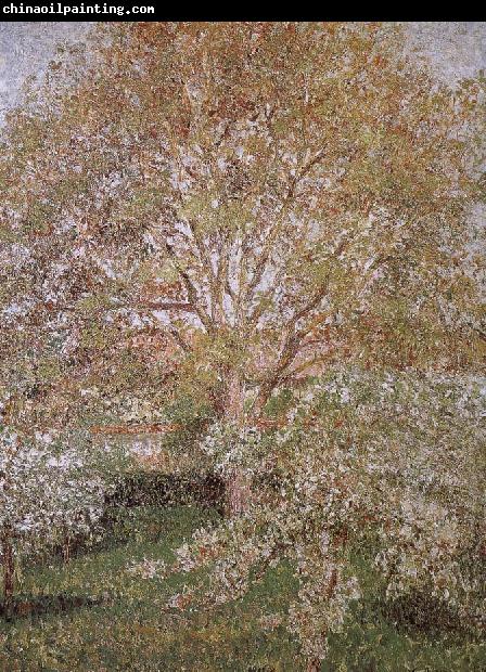 Camille Pissarro Walnut and apple trees