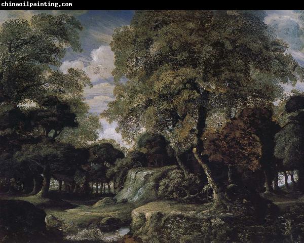 Jan van der Heyden Forest landscape