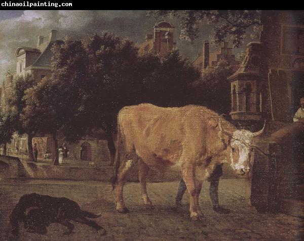 Jan van der Heyden Square cattle