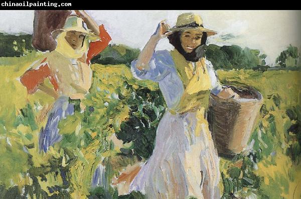 Joaquin Sorolla Sherry grape mining