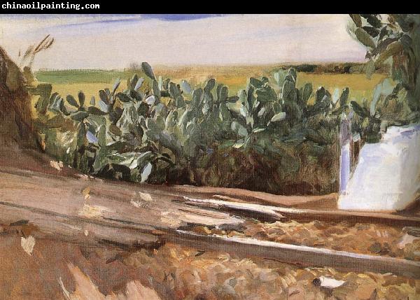 Joaquin Sorolla Roadside grass