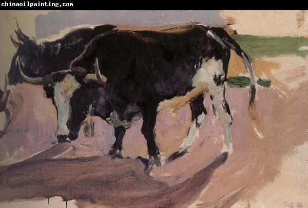 Joaquin Sorolla Bull Project