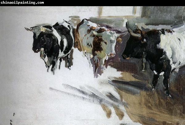 Joaquin Sorolla Bull Project