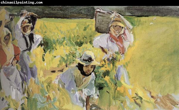 Joaquin Sorolla Sherry grape mining