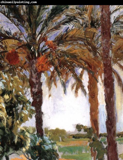 Joaquin Sorolla Palm