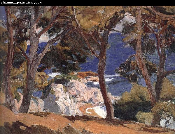 Joaquin Sorolla Landscape Project